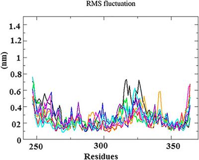 Indian Ethnomedicinal Phytochemicals as Promising Inhibitors of RNA-Binding Domain of SARS-CoV-2 Nucleocapsid Phosphoprotein: An In Silico Study